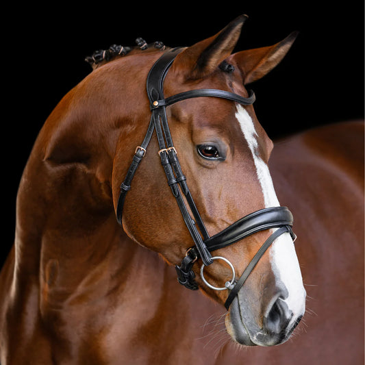 The Infinity Dressage Bridle