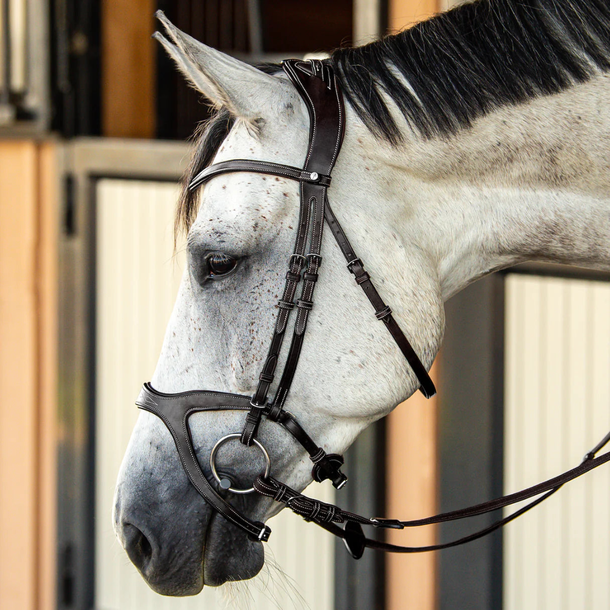 Victory Bridle
