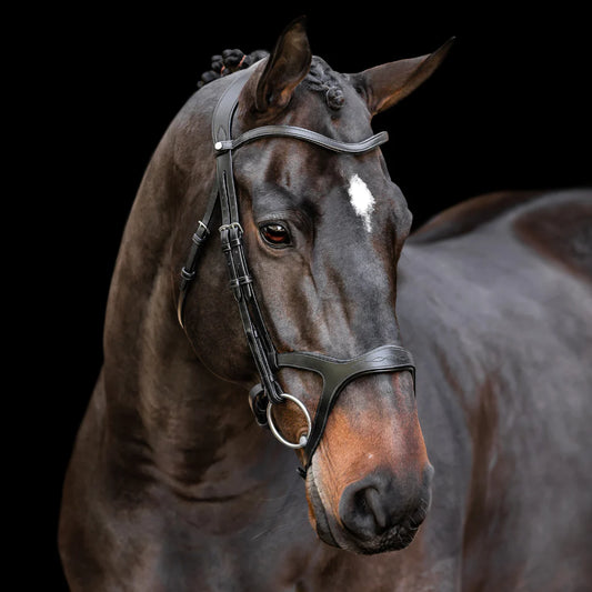 Victory Bridle
