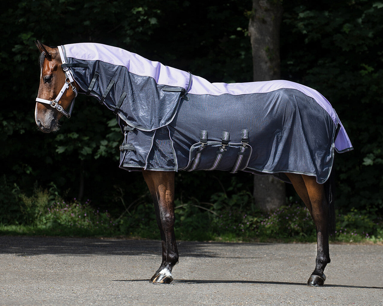 QHP Anti-Fly Rug with Neck